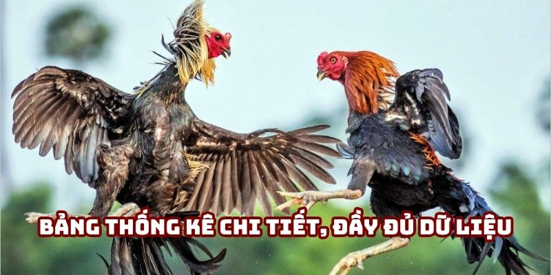 Bảng thống kê chi tiết, đầy đủ dữ liệu các trận đấu