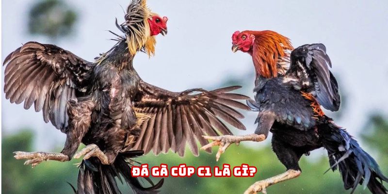 Đắm mình vào thế giới đá gà cúp C1 tại 789WIN