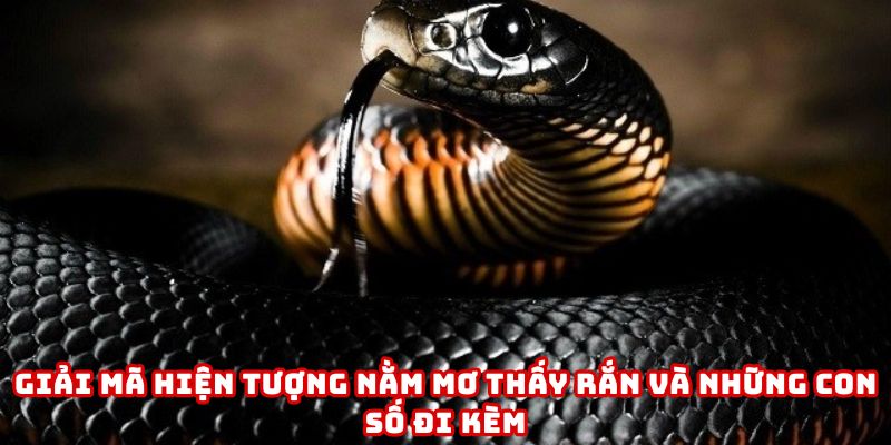 Nằm mơ thấy rắn là giấc chiêm bao phổ biến và ẩn chứa nhiều tầng ý nghĩa