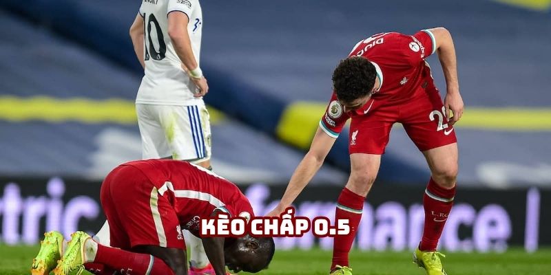 kèo chấp 0.5